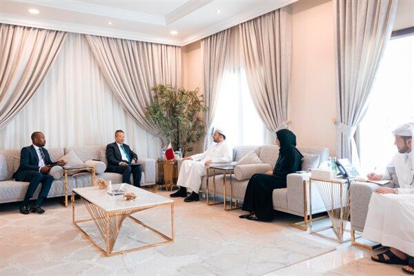 Toplantıda, Büyük Göller Bölgesi'ndeki barış çabaları, özellikle Kongo Demokratik Cumhuriyeti'ndeki