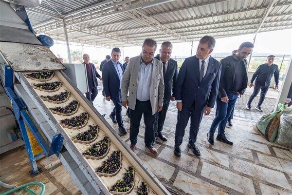 Başkan Tugay’dan Bademler Kooperatifi’ne ziyaret İzmirli üreticiler, zeytinde yeni sezonun hasadına hazırlanıyor. İzmir Büyükşehir Belediye