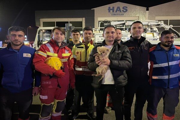 Kanalizasyon borusuna düşerek mahsur kalan köpek, Konya Büyükşehir Belediyesi ekiplerinin