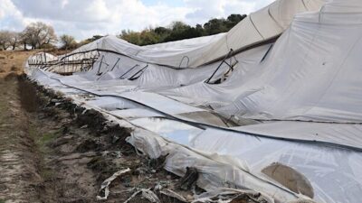 Antalya Büyükşehir Belediyesi Tarımsal Hizmetler Dairesi Başkanlığı ekipleri, 23 Ekim’de