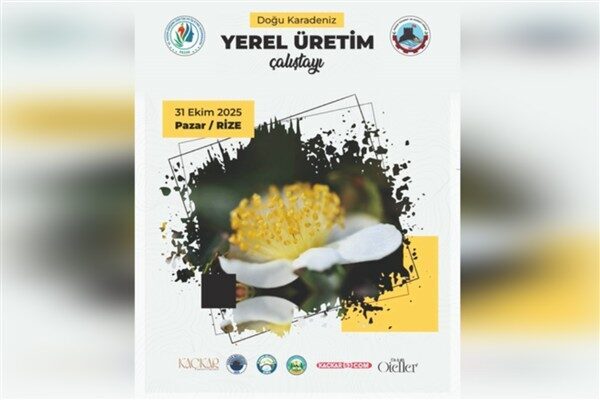 Doğu Karadeniz Yerel Üretim Çalıştayı, Pazar Ticaret ve Sanayi Odası