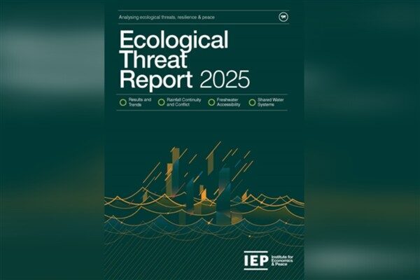 Dünyadaki her dört kişiden biri – yaklaşık 2 milyar insan