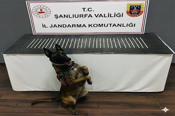 Eyyübiye İlçesinde Narkotik Şube Müdürlüğü ekiplerince uyuşturucu madde ticareti yaptığı