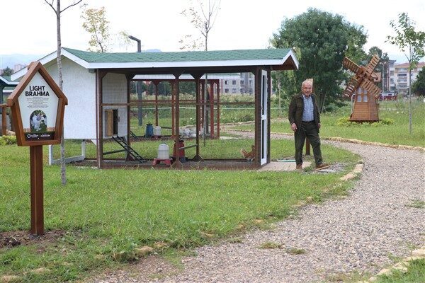 Büyükşehir Belediye Başkanı Dr. Mehmet Hilmi Güler’in girişimleriyle hiçbir bedel