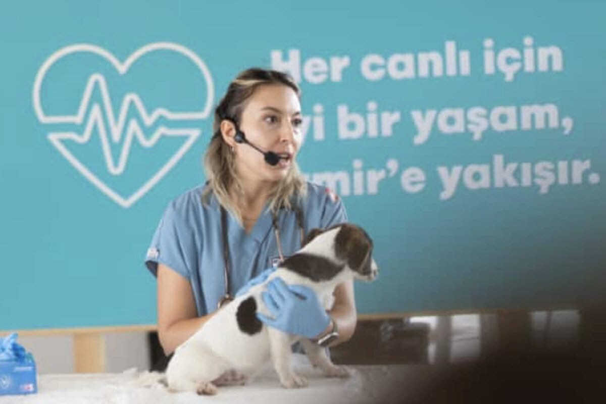 İzmir Büyükşehir Belediyesi tarafından , 4 Ekim Dünya Hayvanları Koruma