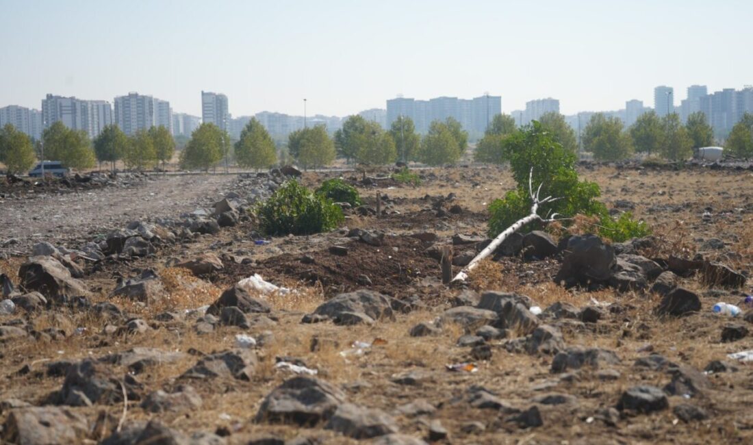 Kayapınar Belediyesi Park ve Bahçeler Müdürlüğü kente yeşil alan kazandırmak