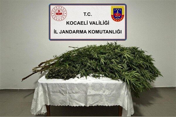 Kocaeli İl Jandarma Komutanlığı'nın, 14–24 Ekim tarihleri arasında İzmit, Kandıra