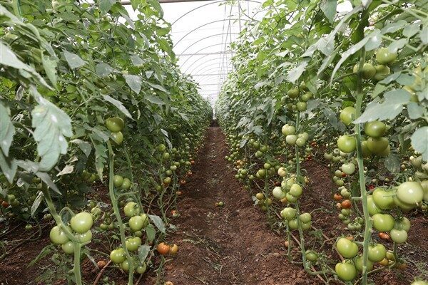 Büyükşehir Belediyesi ekipleri, yağışların hemen ardından bölgede hasar tespit çalışması
