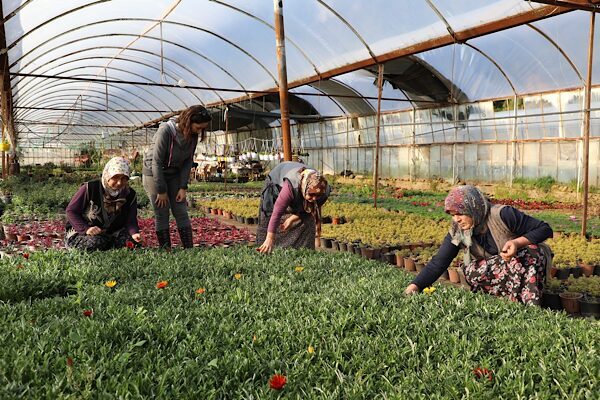 Muğla Büyükşehir Belediyesi tarafından, kırsalda üretim yapan kadınların ve üretici