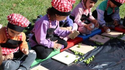 Kreşte öğrencilere yönelik “Zeytin Kırma Etkinliği” gerçekleştirildi. Etkinlik için Derik'ten