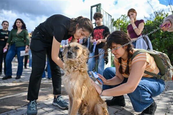 Ege Üniversitesi ve İzmir Katip Çelebi Üniversitesi Tıp Fakültesi öğrencileri,