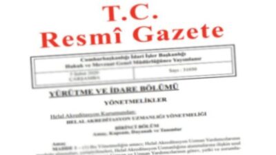 YÜRÜTME VE İDARE BÖLÜMÜ YÖNETMELİKLER –– Sağlık Meslek Mensubu Olmayan