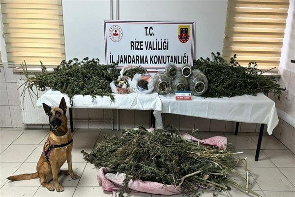 Rize İl Jandarma Komutanlığı ekiplerince uyuşturucuyla mücadele kapsamında son dönemde