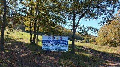 İmzalanan protokol kapsamında, Adapazarı, Söğütlü ve Kaynarca ilçelerinde toplam 22.000