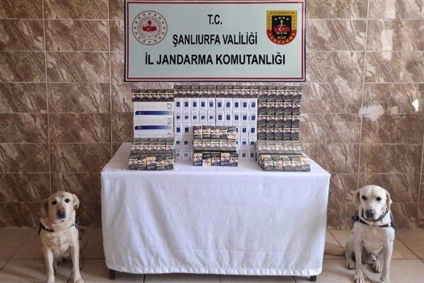 Şanlıurfa İl Jandarma Komutanlığı tarafından, tütün ve alkol kaçakçılarına yönelik