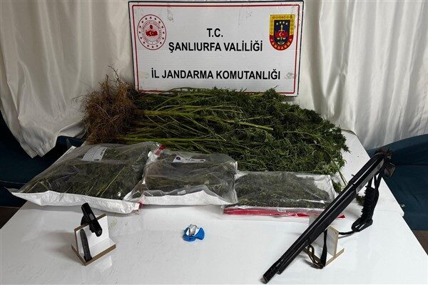 Siverek’te yapılan operasyonda çok sayıda uyuşturucu ve silah ele geçirildi Yapılan arama çalışmalarında; 3600 gram kubar esrar, 23 kök kenevir