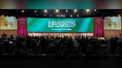 Bugün, Suudi Arabistan Krallığı, kamu mali denetimi ve muhasebesi alanındaki