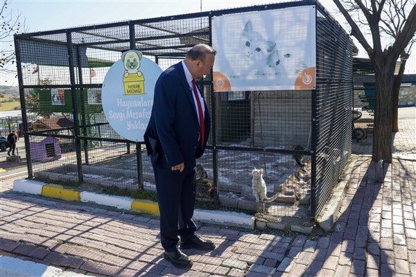 Belediye bünyesindeki hayvan barınaklarında bakımı yapılan kedi ve köpeklerin sahiplenilmesi