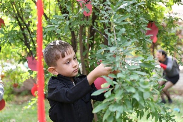 Zarokistan Kreş ve Gündüz Bakım Evi’nde Nar Festival kutlandı Kreşte düzenlenen festivale çocuklar, aileleri, Eş Başkanlar Berivan Gülşen Sincar