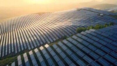 Bu yılın üçüncü çeyreğinde sırasıyla yüzde 46 ve yüzde 11