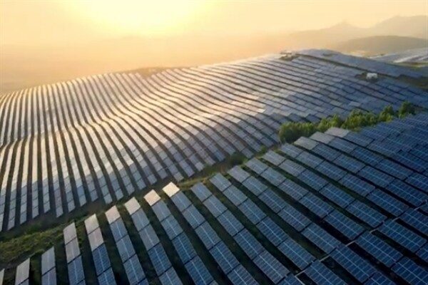 Bu yılın üçüncü çeyreğinde sırasıyla yüzde 46 ve yüzde 11