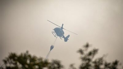 Orman Genel Müdürlüğü’nden yapılan açıklamada Aydın’ın Bozdoğan ilçesinde orman dışı