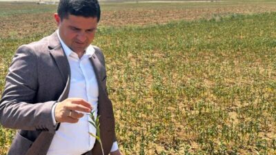 Belediye Başkanı Mustafa Koçak, Ankara Büyükşehir Belediyesi ve ilçe belediyesi