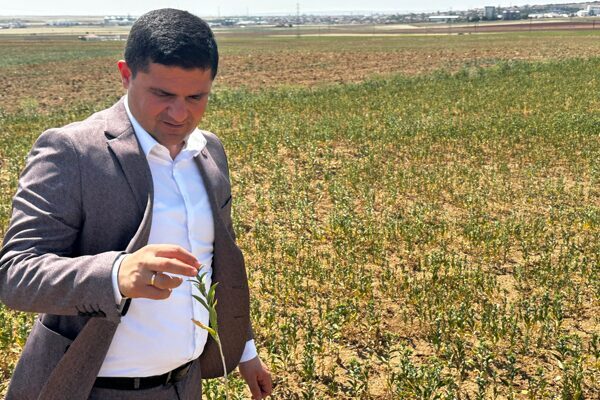 Belediye Başkanı Mustafa Koçak, Ankara Büyükşehir Belediyesi ve ilçe belediyesi