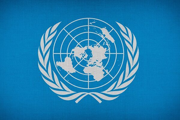 Yapılan açıklamaya göre, IAWN tarafından 27 Kasım 2025'te başlatılan ve