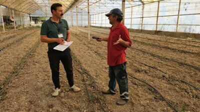 Bodrum Tarımsal Hizmetler Müdürlüğü ekipleri zeytin hasadı döneminde üreticilerin yanında yer