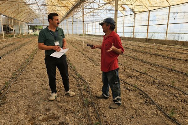 Bodrum Tarımsal Hizmetler Müdürlüğü ekipleri zeytin hasadı döneminde üreticilerin yanında yer
