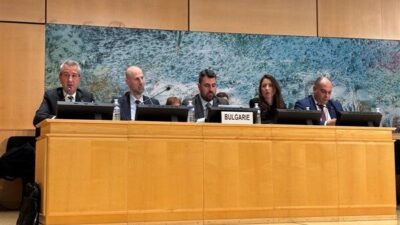 Krustev, Bulgaristan’ın insan haklarının korunması ve teşvikine ilişkin en yüksek