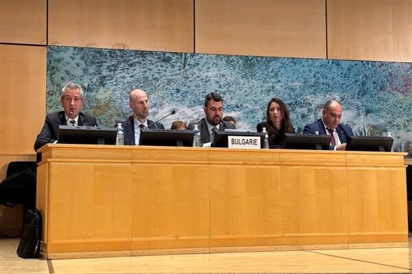 Krustev, Bulgaristan’ın insan haklarının korunması ve teşvikine ilişkin en yüksek