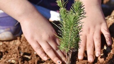 Cavit Çağlar Ortaokulu öğrencileri, 24 Kasım Öğretmenler Günü kapsamında kendi