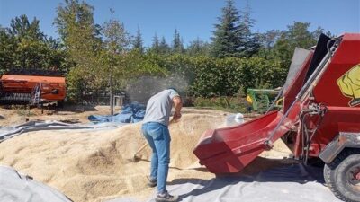 Eskişehir Büyükşehir Belediyesi Tarımsal Hizmetler Dairesi Başkanlığı tarafından hazırlanan yemlik