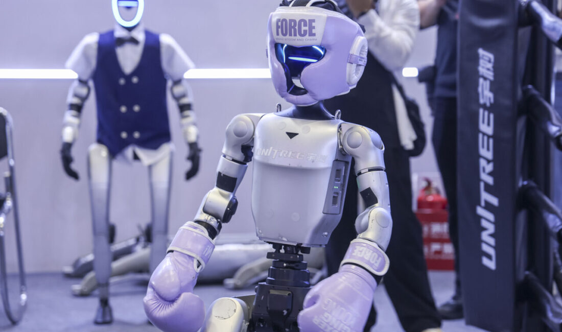 Yazar Jia Nan, 8. Çin Uluslararası İthalat Fuarı'nın (CIIE), 5