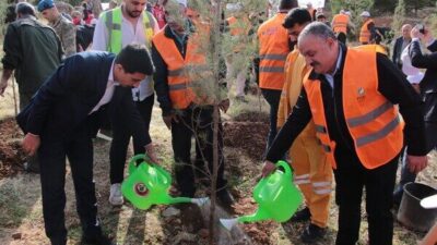  Doğa dostu etkinlikte öğrencilerle birlikte fidan diken DEPSAŞ Enerji Genel