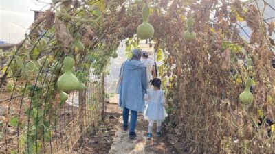 Atölyelere katılan kadınların tıbbi ve aromatik bitkileri daha yakından tanımaları