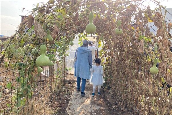 Atölyelere katılan kadınların tıbbi ve aromatik bitkileri daha yakından tanımaları