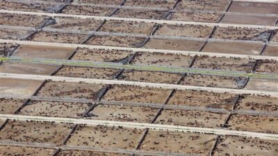 Yeni yapılan uluslararası bir araştırmaya göre, endüstriyel hayvancılığın iklim ve