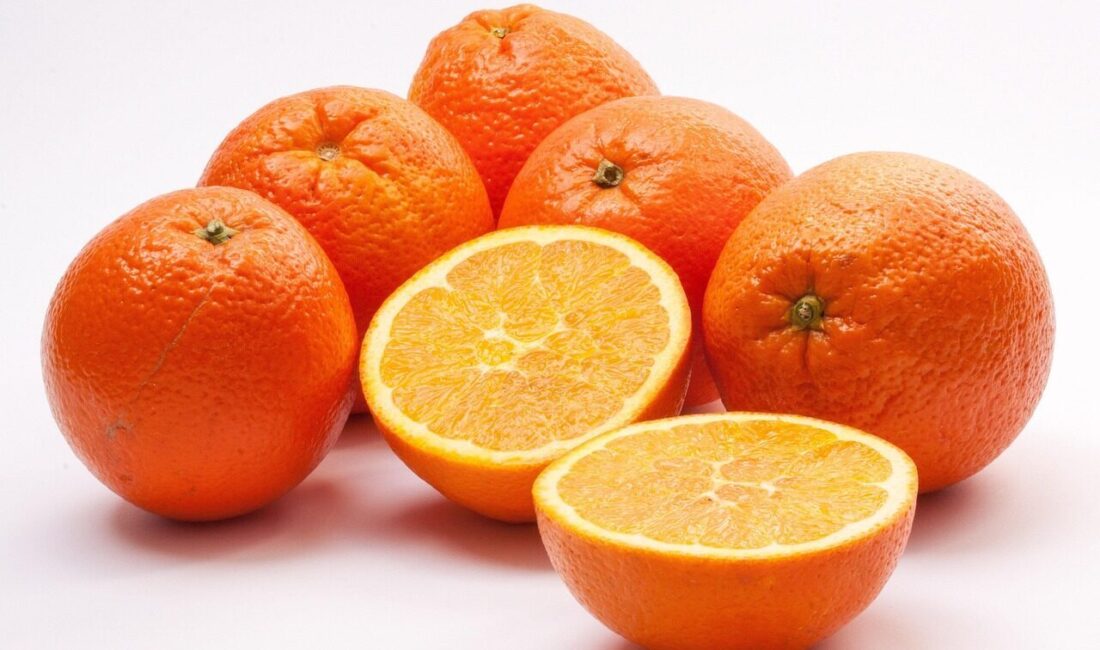 Frigo-Pak’tan yeni iş anlaşması Kamuyu Aydınlatma Platformuna (KAP) yapılan açıklamada, şirketin 2025-2026 yıllarında sevk