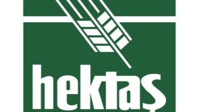 Kamuyu Aydınlatma Platformuna (KAP) yapılan açıklamaya göre, şirketin özet gelir