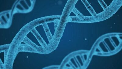 BBC'nin haberine göre, uluslararası uzmanlardan oluşan bir ekip tarafından yapılan