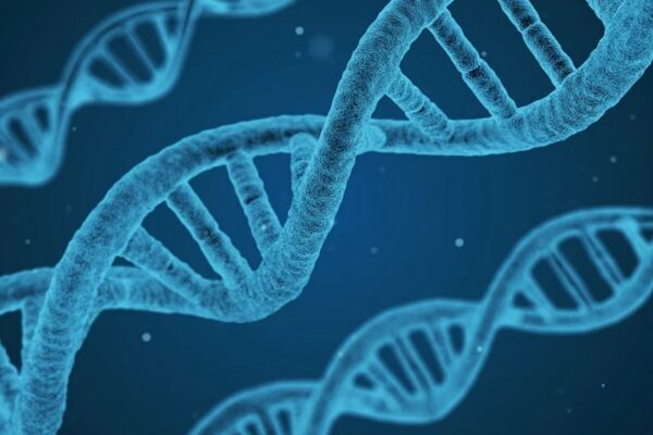 BBC'nin haberine göre, uluslararası uzmanlardan oluşan bir ekip tarafından yapılan