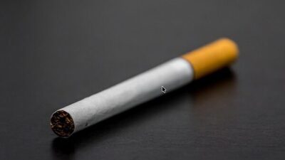 Üç ülke bakanlarının ortak basın açıklamasına göre, kılavuzlar, DSÖ Tütün