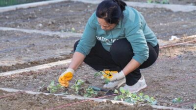 İzmirli kadınlar, İzmir Büyükşehir Belediyesi’nin Konak Kadifekale, Buca Mustafa Kemal,
