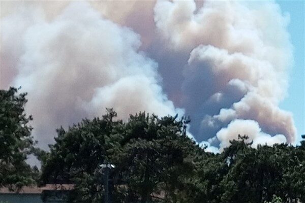 Orman Genel Müdürlüğü’nden yapılan açıklamada Kütahya’nın Domaniç ilçesindeki yangının kontrol