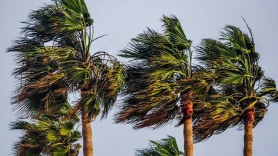 MGM yetkilileri, Marmara ile Kuzey Ege kıyılarında rüzgarın güney ve