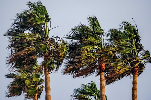 MGM yetkilileri, Marmara ile Kuzey Ege kıyılarında rüzgarın güney ve
