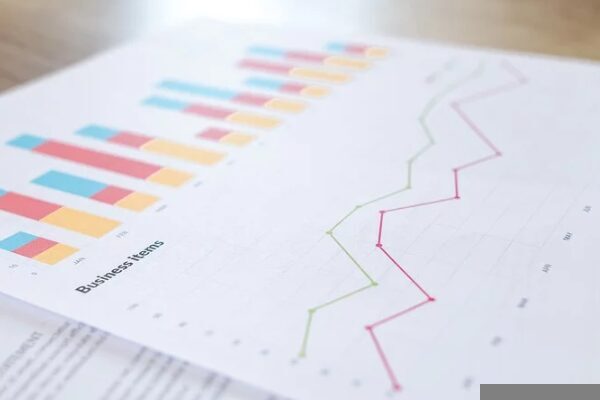 Kamuyu Aydınlatma Platformuna (KAP) yapılan a&ccedil;ıklamada, ''Sermaye Piyasası Kurulu kararı